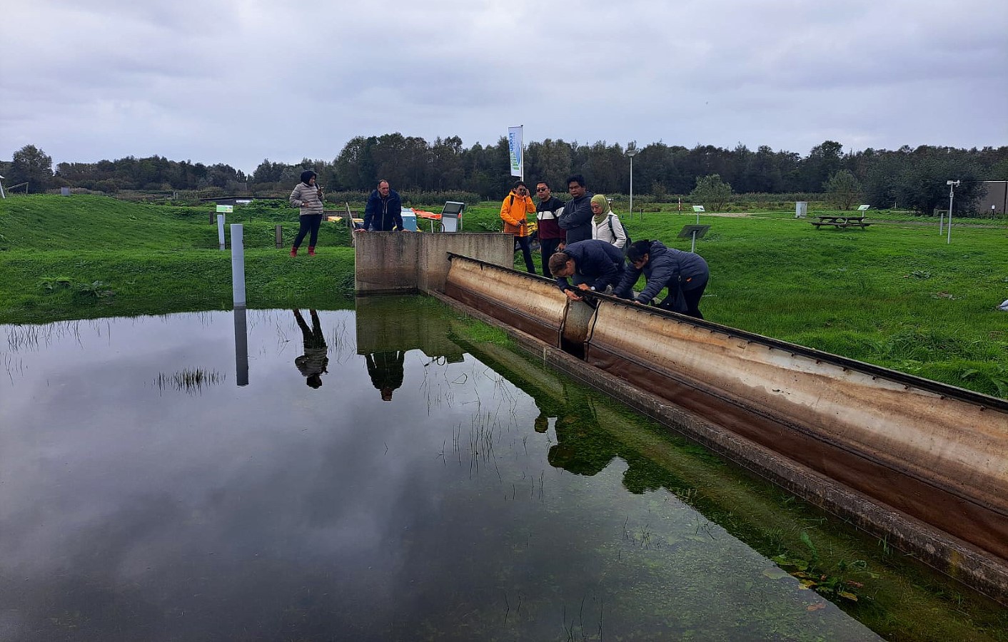 Memahami Waterschaappen Delfland Memelihara dan Mengelola Air